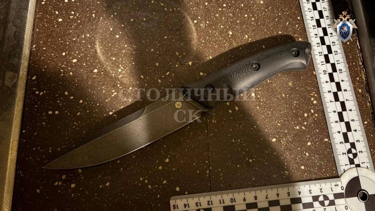 В Москве сын убил отца и ранил мать ради квартиры в центре В Москве сын убил отца и ранил мать ради квартиры в центре