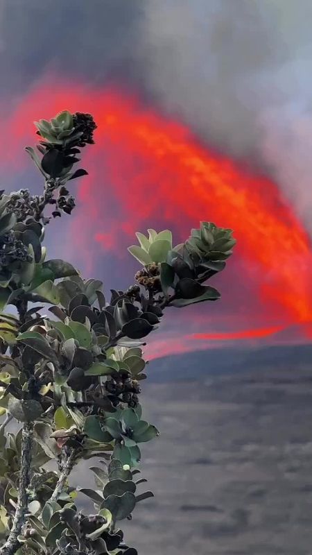 ��������� ������ ������� ����� ���������� ���� ��������