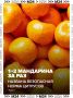 Тут мандарины, там мандарины — в Москве сейчас их тааак много