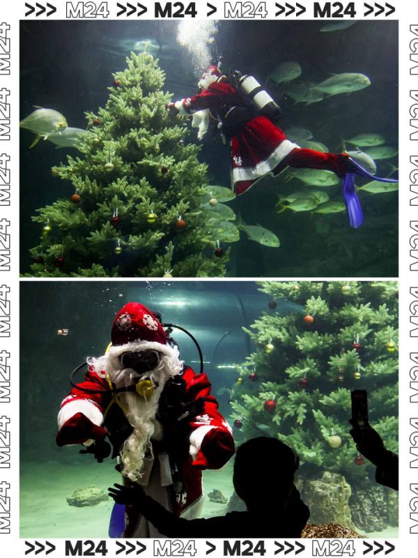 ��������� � ����������� ����������: ������ ������������ �� ���� ������ ����� �� ��� �������� �������� ��������� � ������������