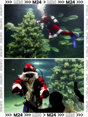 Окунаемся в праздничное настроение: первые поздравления от Деда Мороза летят со дна главного морского аквариума в «Москвариуме»