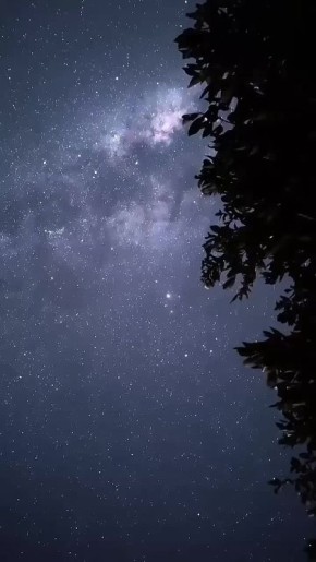 Одна из астрономических фантазий декабря — звездопад Геминиды — прольётся на Москву в ночь с 13 на 14 декабря