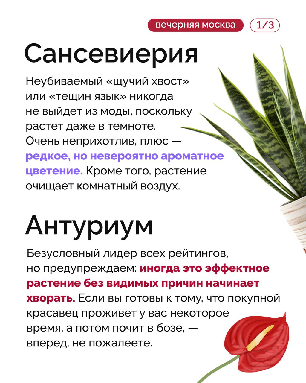 Кусочек лета круглый год можно легко организовать у себя дома на подоконнике, чтобы стало теплее и солнечнее на душе Кусочек лета круглый год можно легко организовать у себя дома на подоконнике, чтобы стало теплее и солнечнее на душе