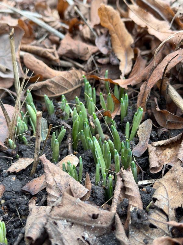 8 �������. � ������ ����������� ������ �������� ��������, ������ ������������ ��� ����� ������