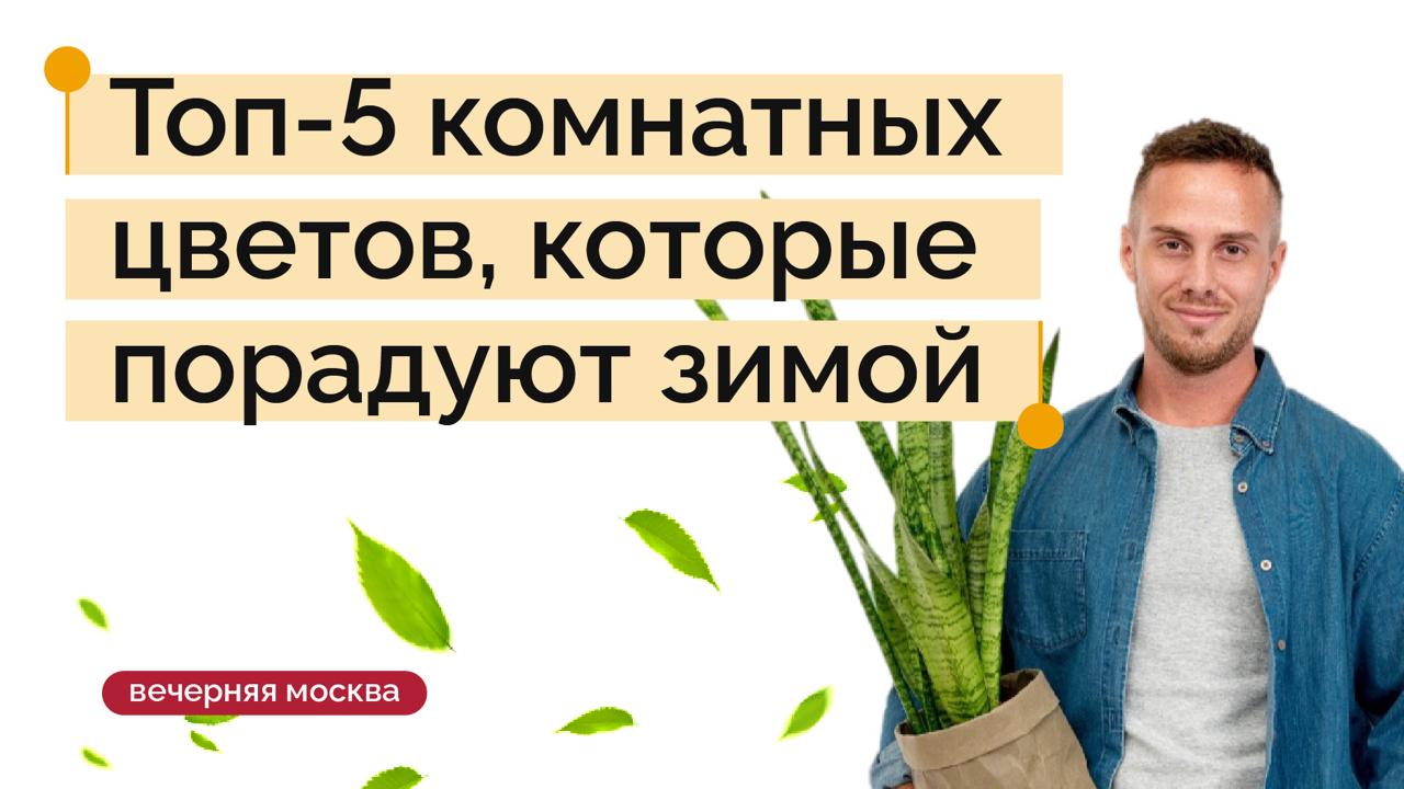 Кусочек лета круглый год можно легко организовать у себя дома на подоконнике, чтобы стало теплее и солнечнее на душе