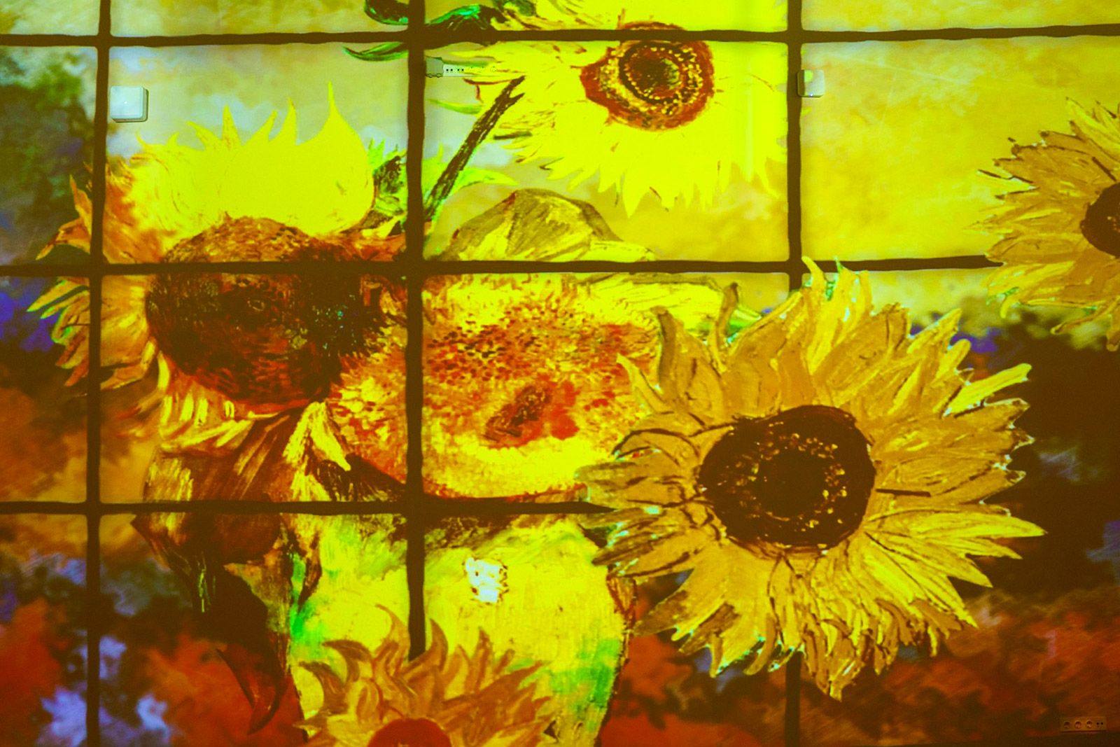 На ВДНХ открылась иммерсивная выставка о жизни и творчестве Винсента Ван Гога На ВДНХ открылась иммерсивная выставка о жизни и творчестве Винсента Ван Гога