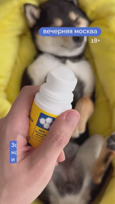 ���� �� ��������� ��������� ������� � ��� �� ������ ������ � ���������� � ������� �����