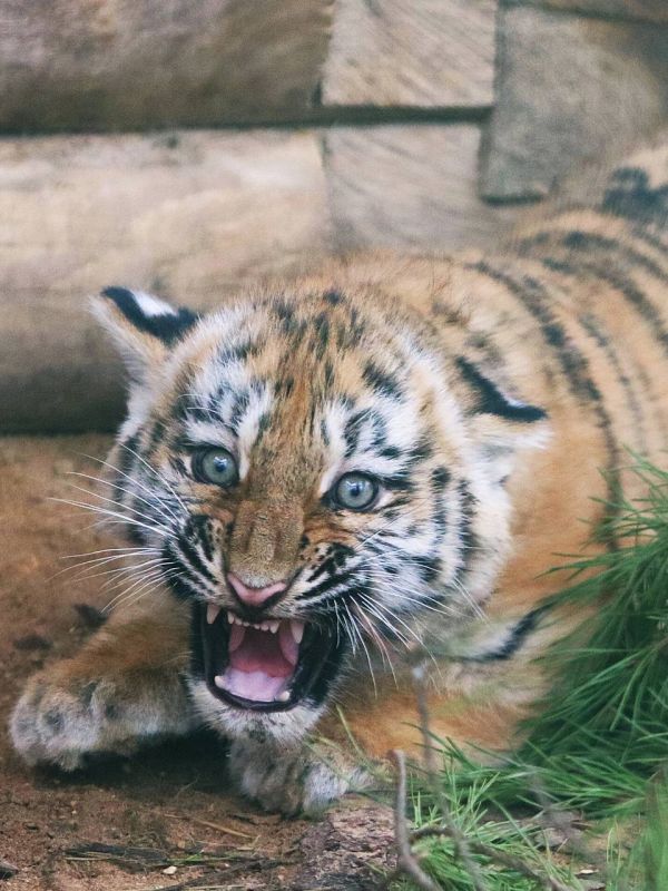 �������� ������ �������� � ���������� ��������