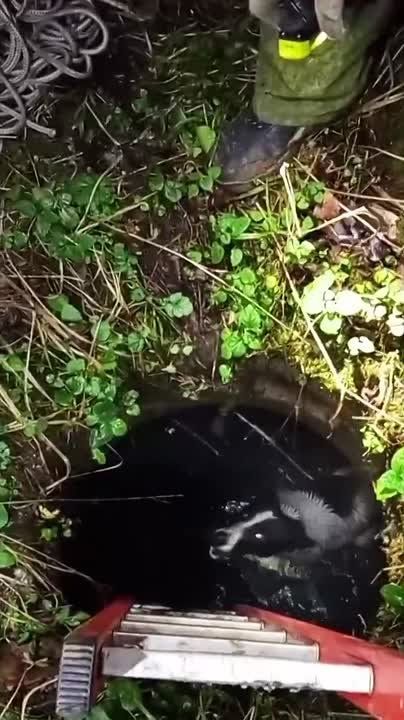 ������ �������� ��������� ��������� ������� ����������� ��� ��������� � ��