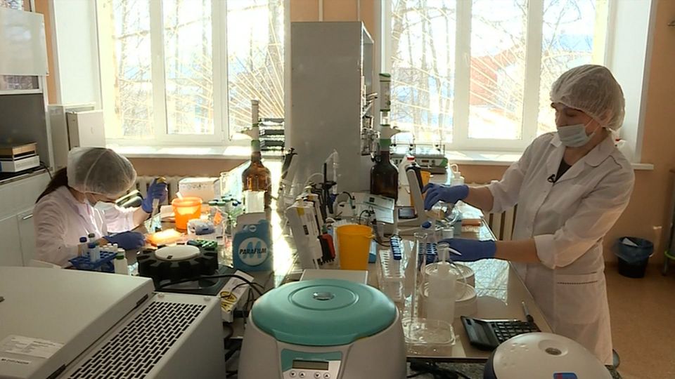 � ���������� ���� ������ ���������� �������� �� ���� � �������� ����������