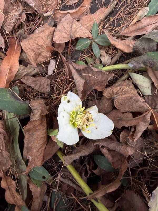 ��������� ������ ������ ���� � ���� �����: � ������ ������� �����������