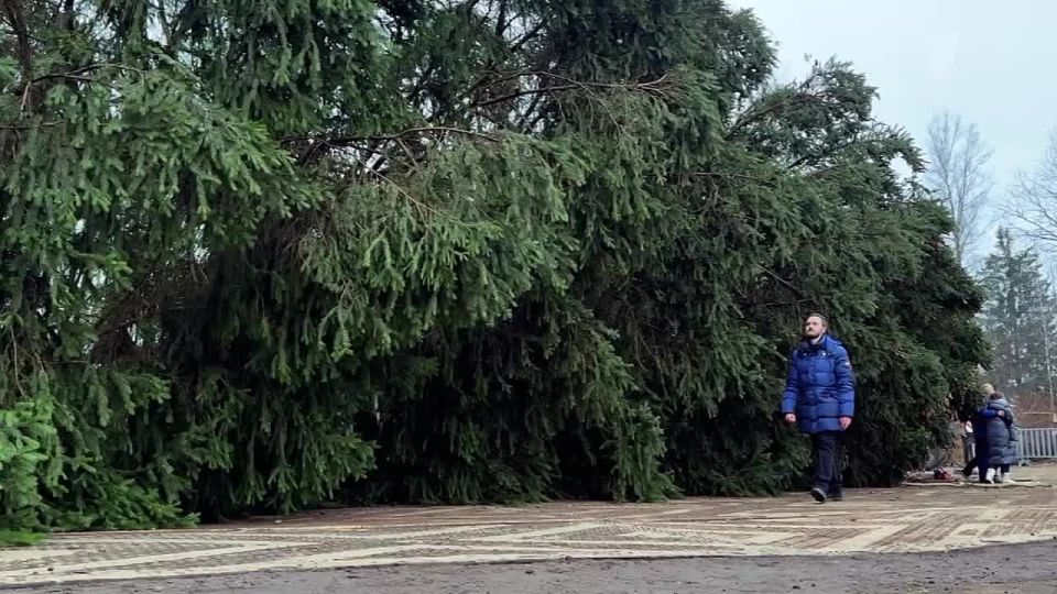 ������� ���� ������: ���������� � ����!