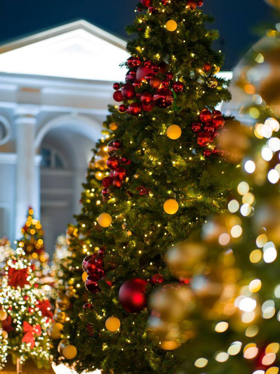 возле НИИ Склифосовского сказочно! возле НИИ Склифосовского сказочно!