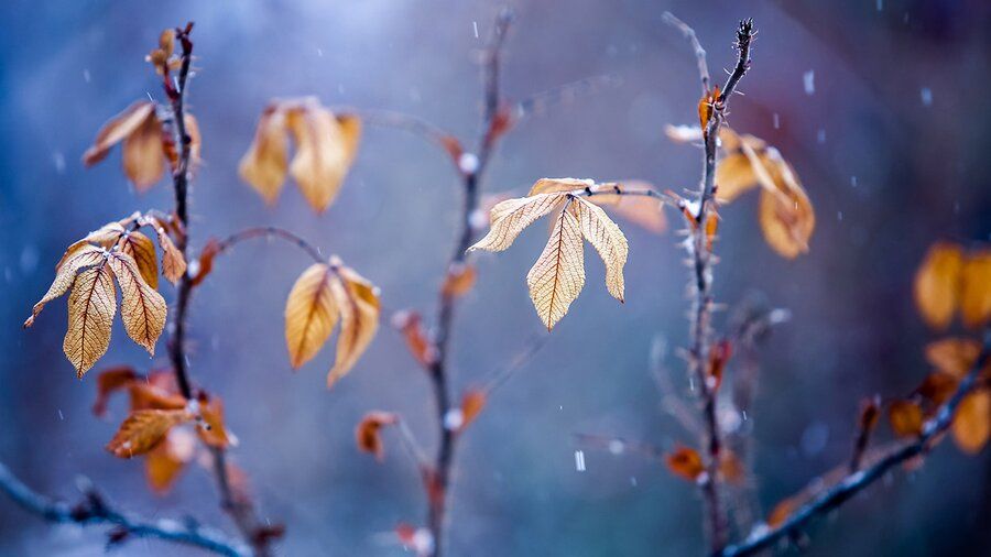 �������, ��������! ����������� ������ ��� ����� �������� ������� �������������� ���� �� ������� ���������, ������� ������ ������ ��������