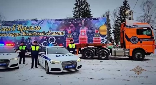 Ирина Волк: Главную новогоднюю ёлку страны везут в Кремль