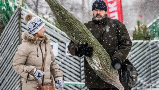 ���� � ����������� ����������� ������ ����� ��������� ���������, �������� ����������� ����������� ������������ �������� (����)