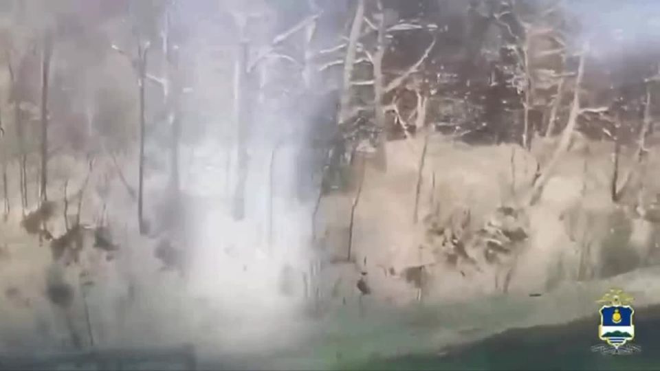 ������ ������� ����� ������� �������� ������