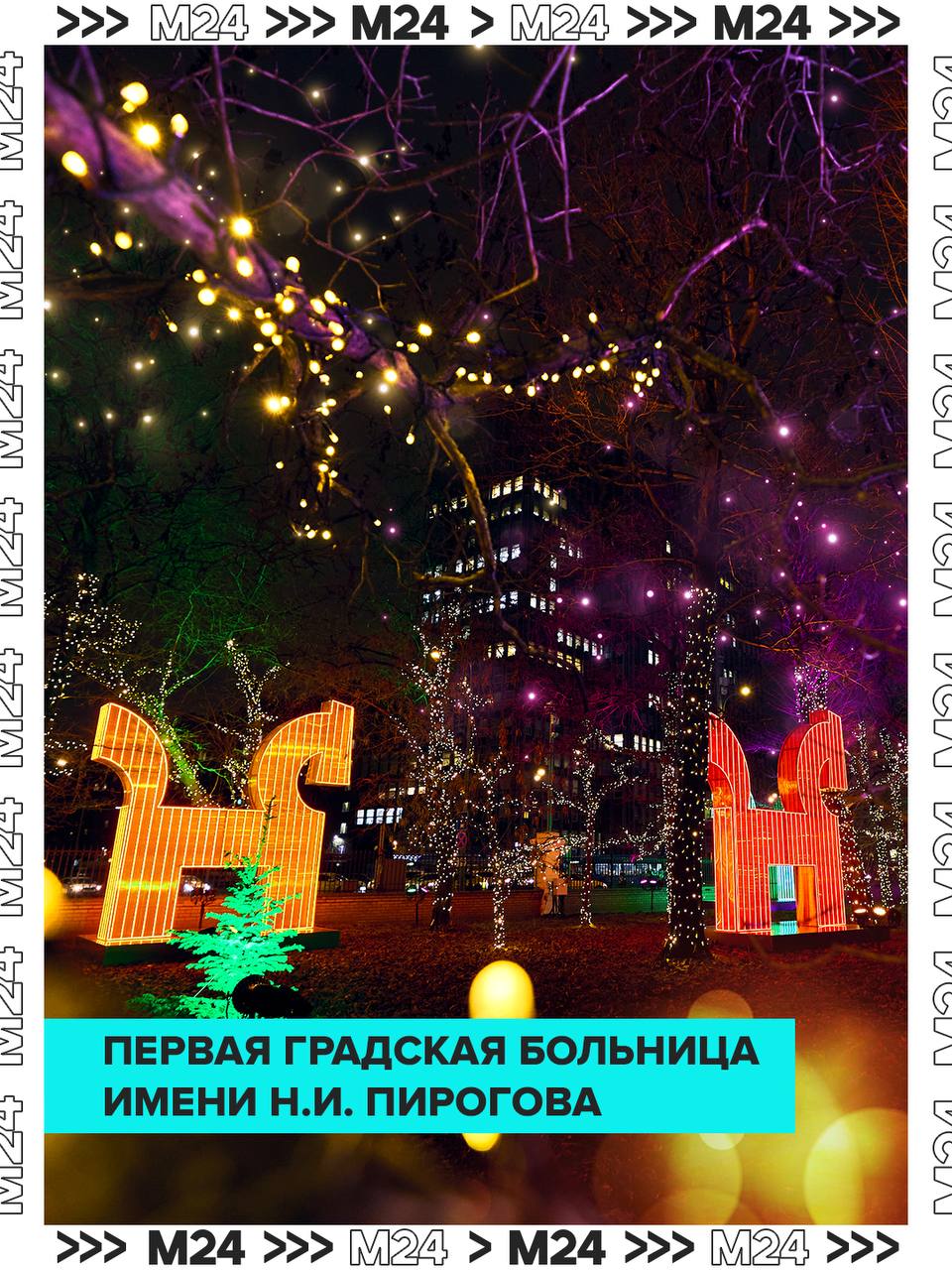 Всё как врач прописал — побольше красоты и ярких эмоций! Всё как врач прописал — побольше красоты и ярких эмоций!
