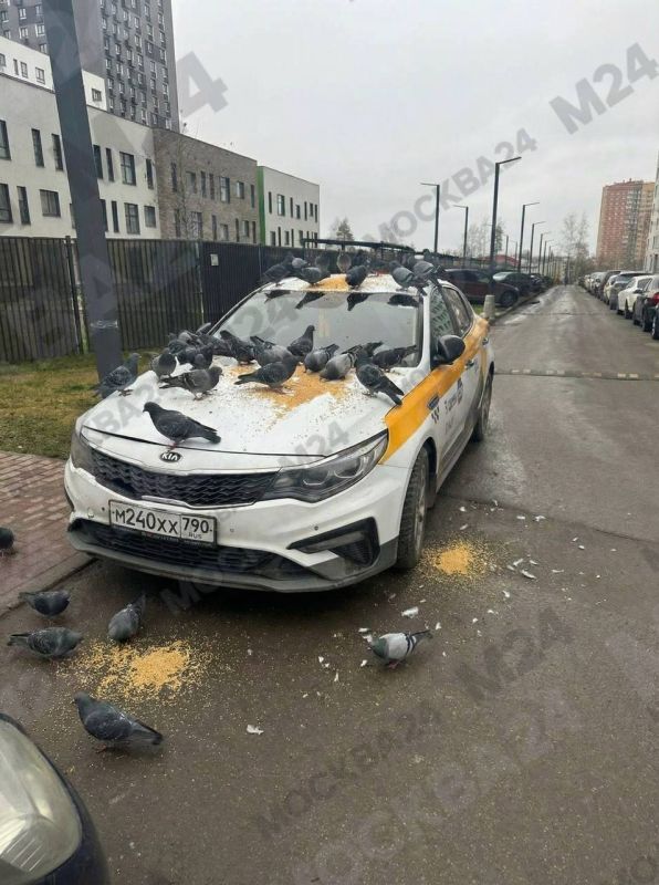 � �� ������� ���� ��������� �������, ����� ������ ��������� �� ������������ ��������