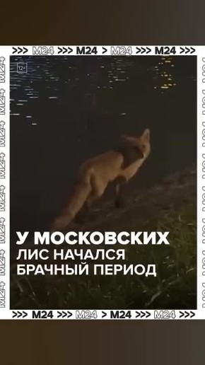 ���� ����� ������� ������ �� ������ � �� ���� ����������� �� ������ �����