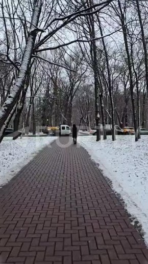 Праздник к нам приходит: улицы Москвы припорошило первым декабрьским снегом