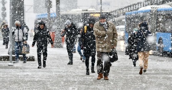 ���������: ������ ������ ������� ������ ������