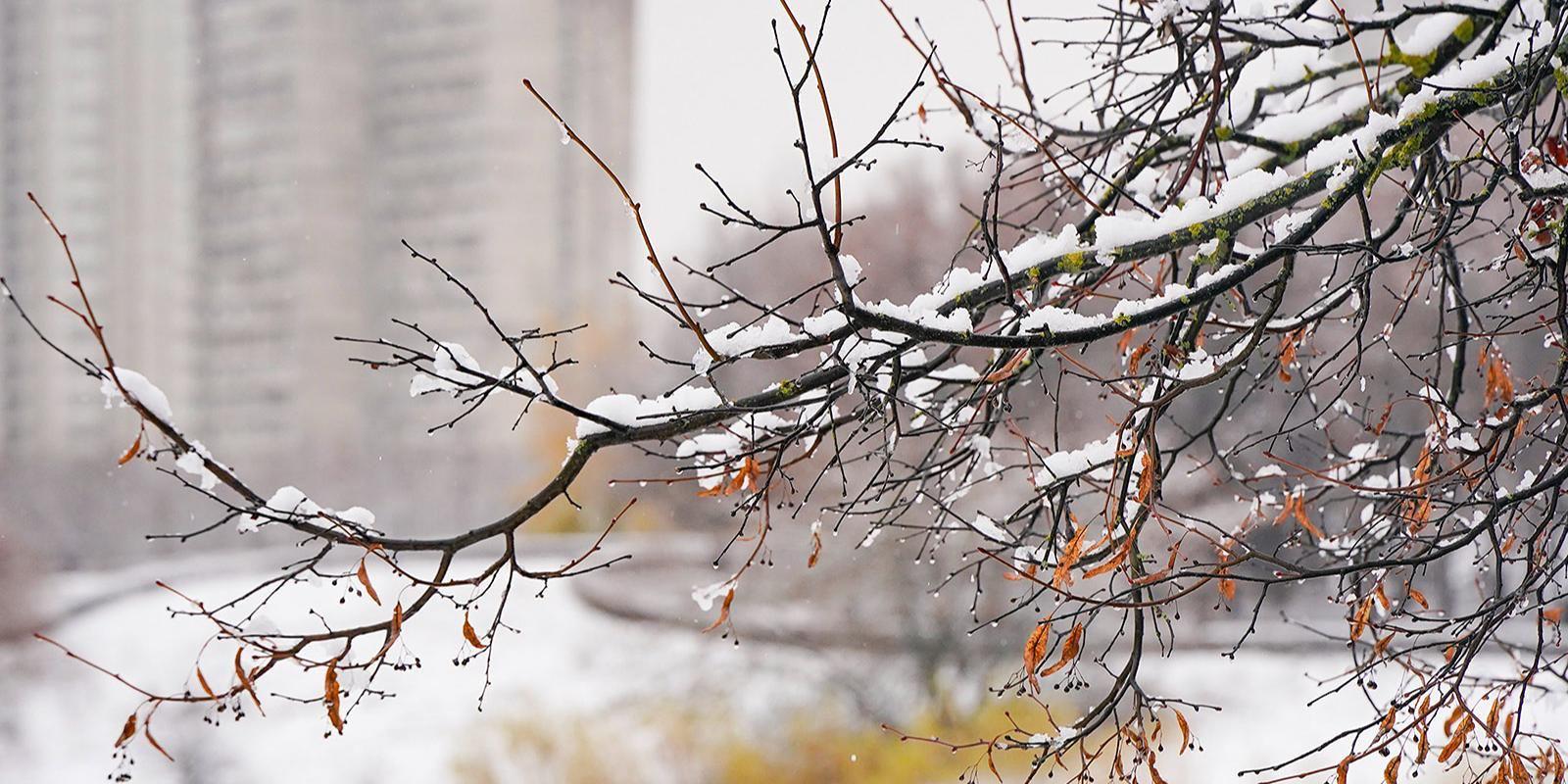 Завтра, по прогнозам синоптиков, в Москве ожидается дождь и снег