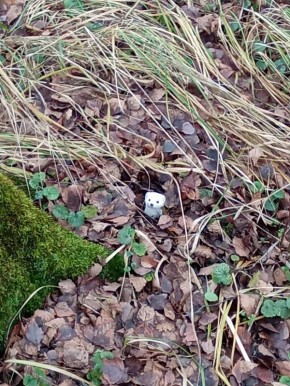 �� ���, � ���� ���?� � ����� �� ��������� ������� ���������� ����������� ����� � �������