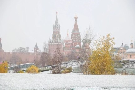 ������ �������� ������ 12 � 13 ������� � ��������