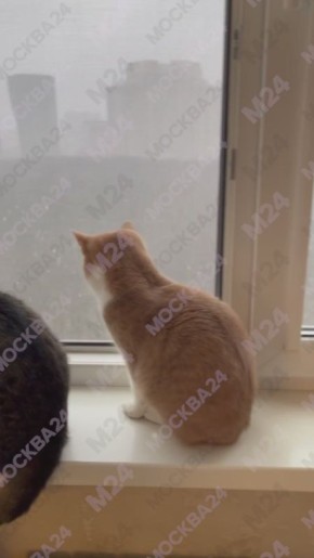 ����������, ��� �������� ������ ������� �� ������� ������