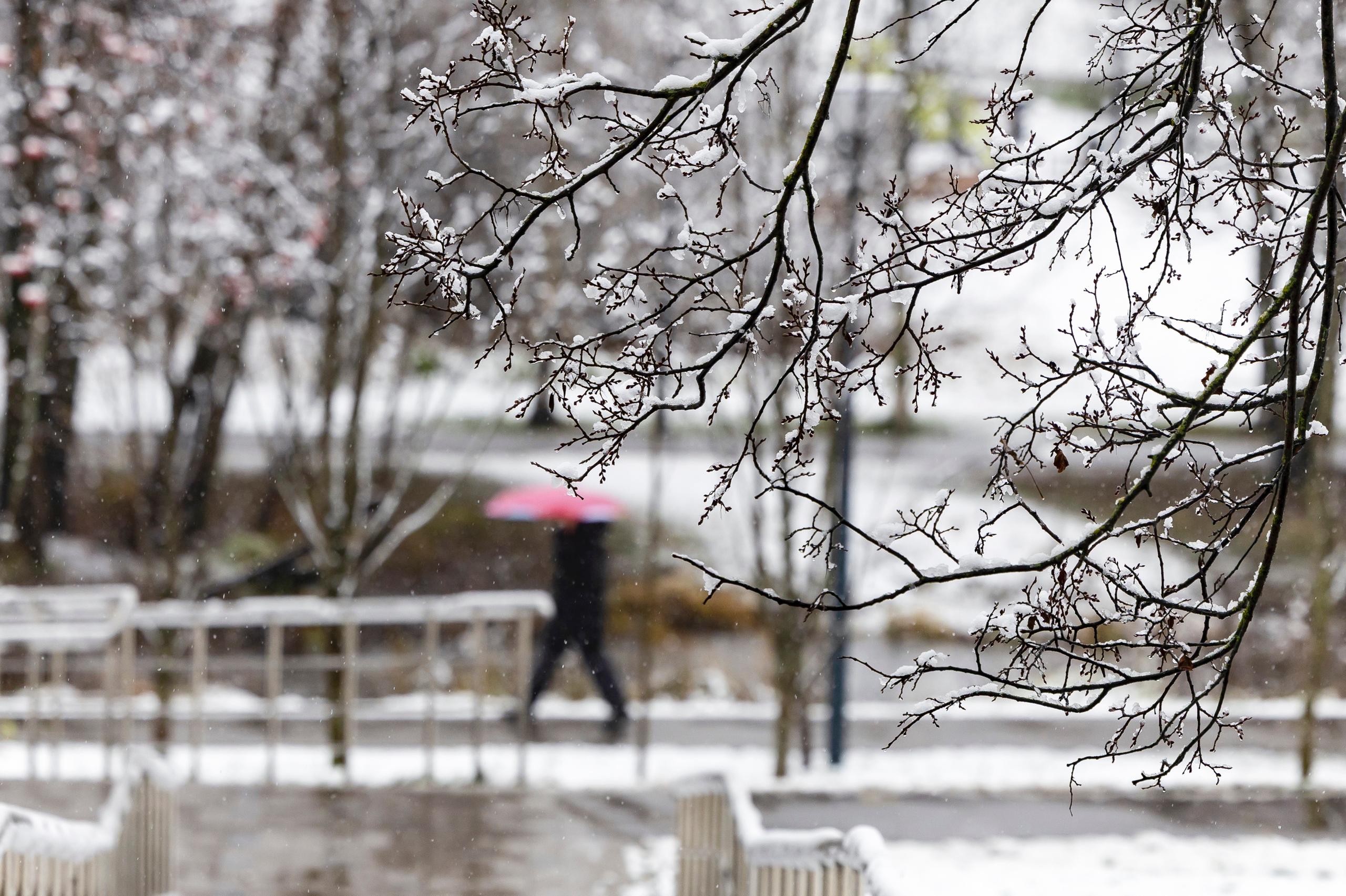 В ближайшие дни в Москве ожидается похолодание