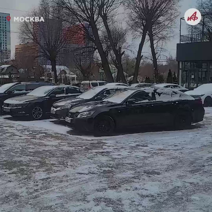 Метель без сугробов: новая зимняя аномалия в Москве