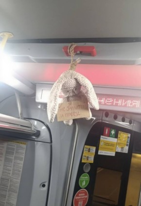 ������� ������� � ��������: ��� ����� �������� �����-������������