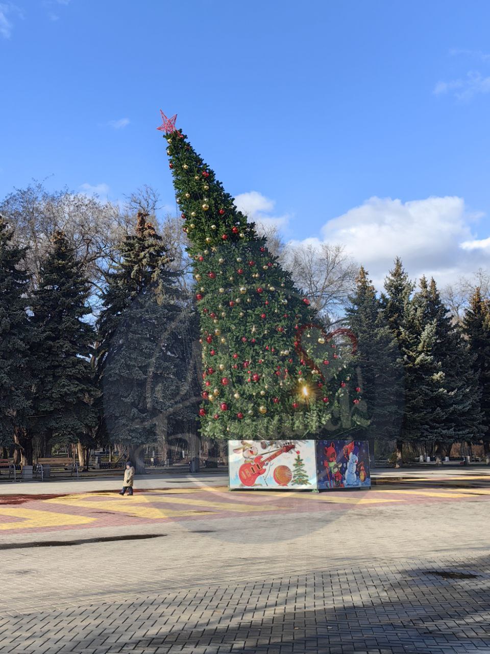В Ростовской области появилась «пизанская ель» В Ростовской области появилась «пизанская ель»
