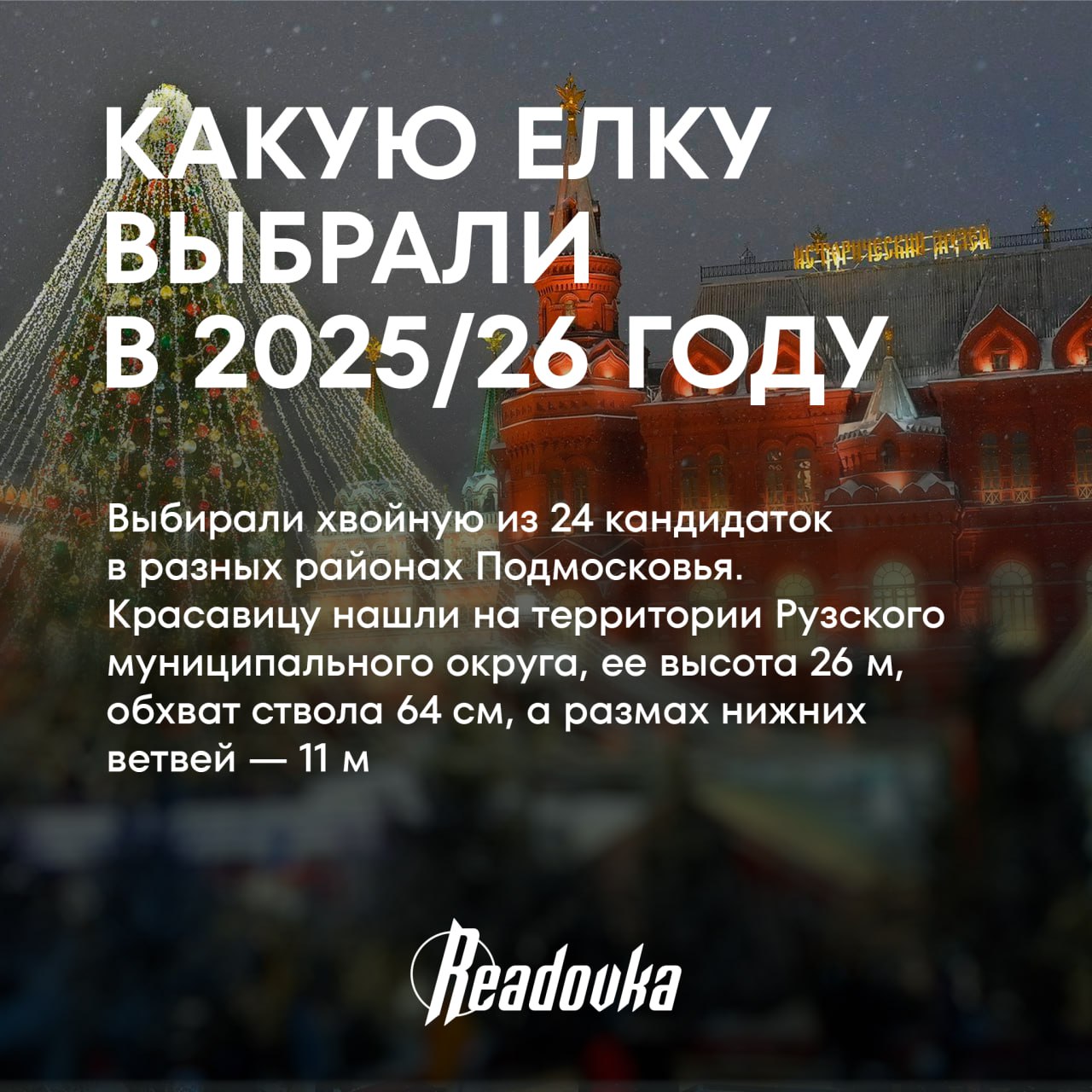 Главная елка России — как выбирают новогоднюю красавицу страны Главная елка России — как выбирают новогоднюю красавицу страны