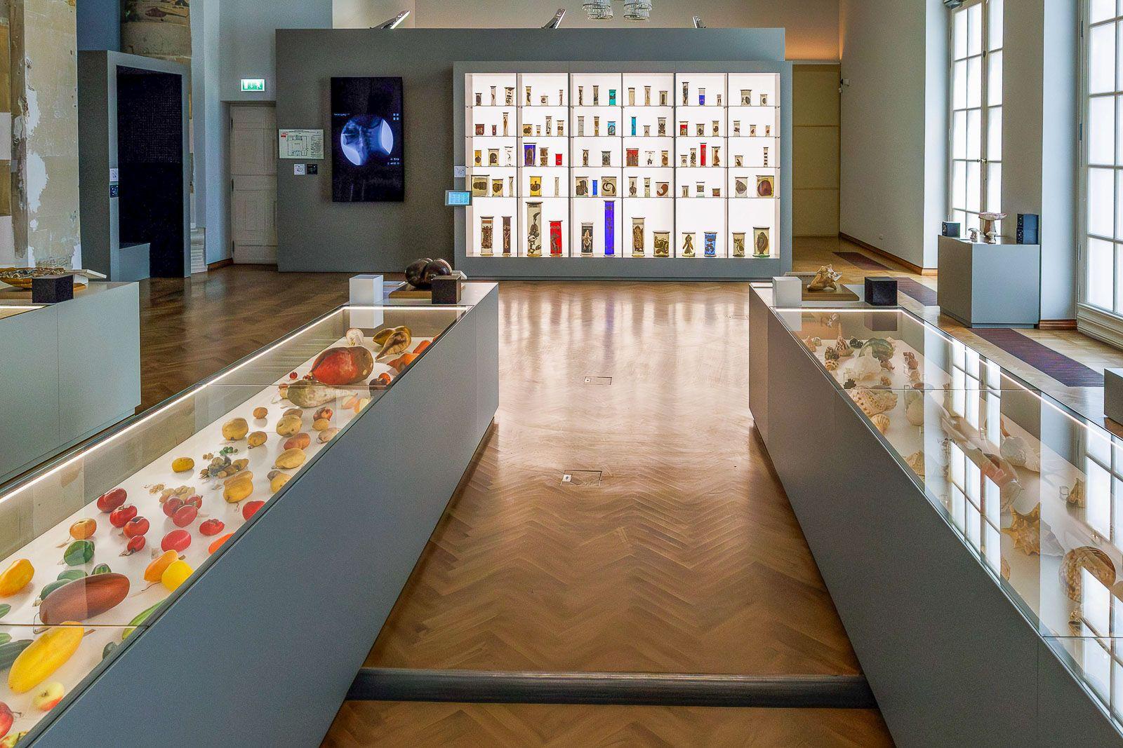 Акция «Московская музейная неделя» начнется уже 15 декабря Акция «Московская музейная неделя» начнется уже 15 декабря