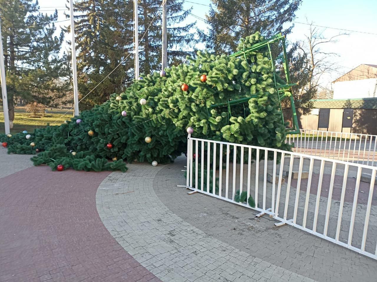 В Ростовской области появилась «пизанская ель» В Ростовской области появилась «пизанская ель»
