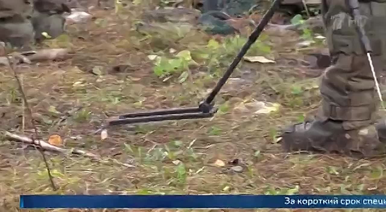 Торжественная церемония прошла в Пхеньяне: приветствовали вернувшихся домой саперов КНДР, которые помогали разминировать приграничные районы в Курской области