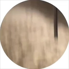 � ����� ������ ������� ���� ���������