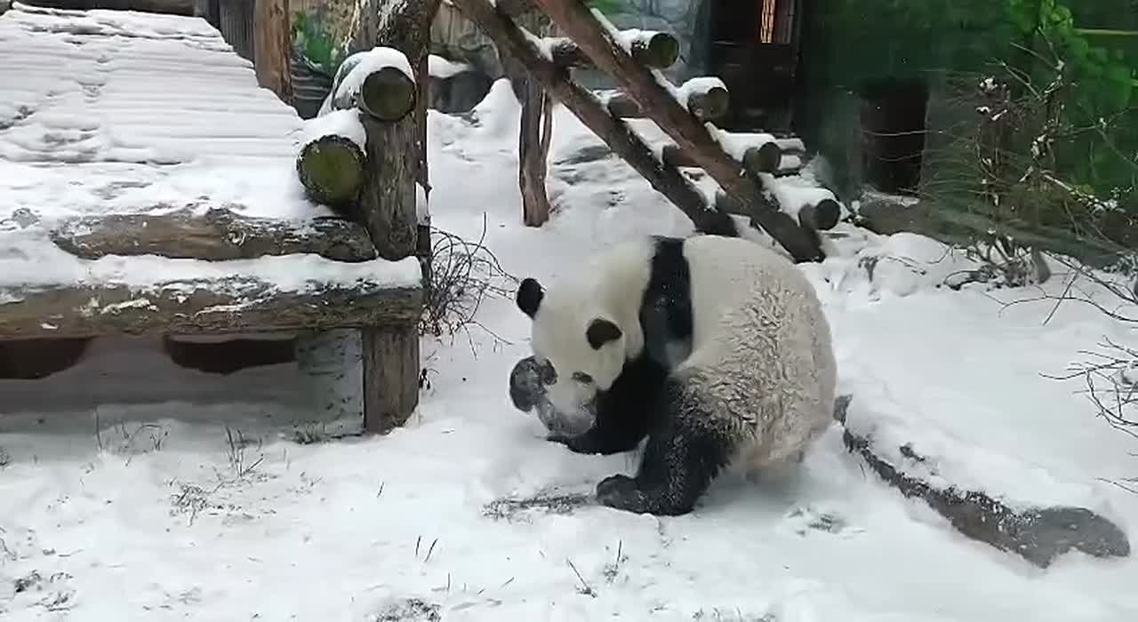 АТМОСФЕРА: не снежная сказка, а скользко и ветрено