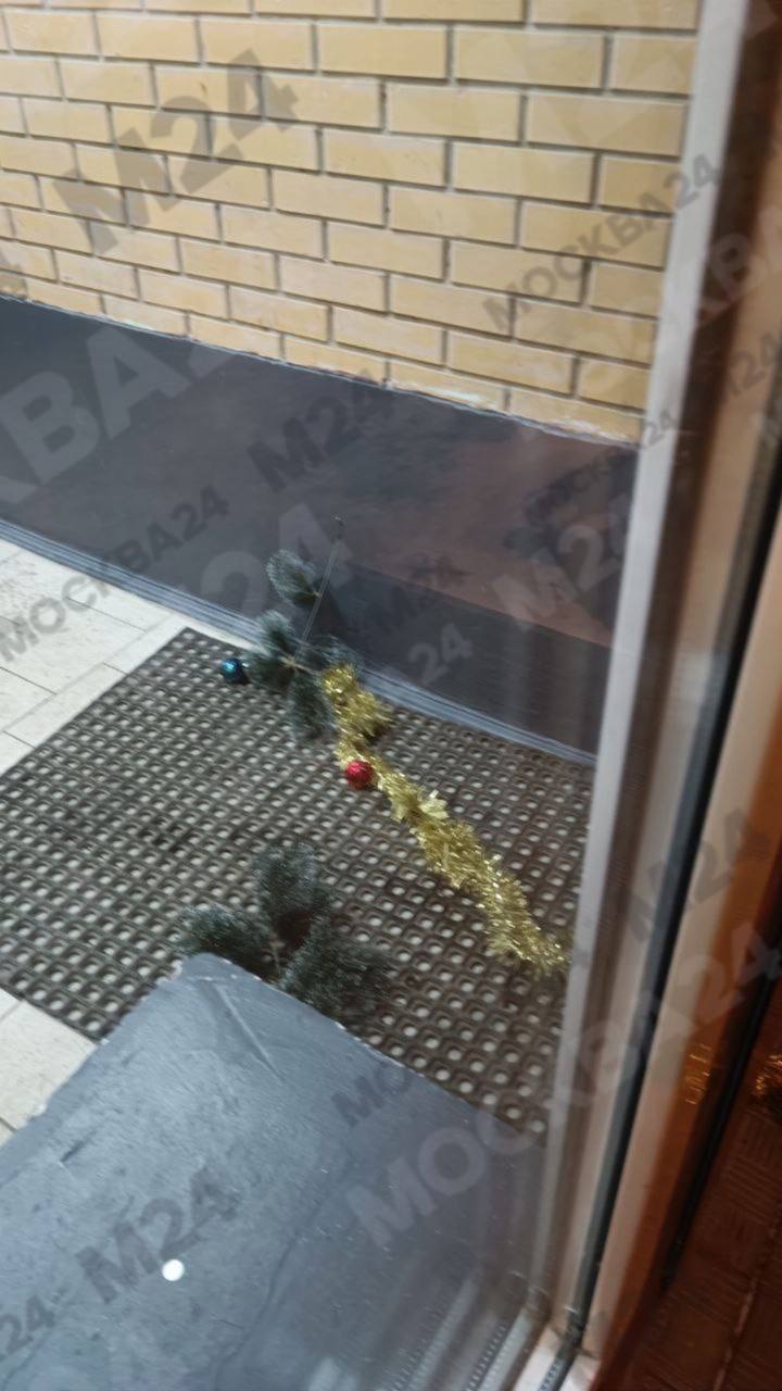 Жители многоэтажки в Щербинке остались без новогодней ёлки после адского ночного разгуляя пьяной компании Жители многоэтажки в Щербинке остались без новогодней ёлки после адского ночного разгуляя пьяной компании