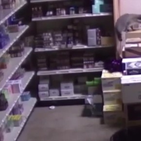 ����-��������� ���������� ����� �� ������ ���������