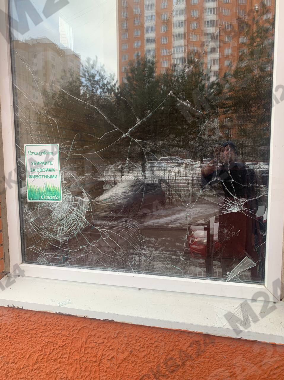 Жители многоэтажки в Щербинке остались без новогодней ёлки после адского ночного разгуляя пьяной компании Жители многоэтажки в Щербинке остались без новогодней ёлки после адского ночного разгуляя пьяной компании