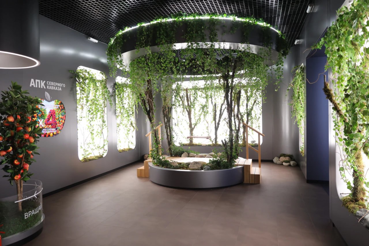 За полтора часа — от Владивостока до Калининграда: в Москве открылась интерактивная выставка «Путешествие по России» За полтора часа — от Владивостока до Калининграда: в Москве открылась интерактивная выставка «Путешествие по России»