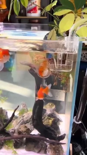 17 ���� �� ������ ���� � � ��� ��, ��� ��� �����, ������ � ��������� ��������������� �����