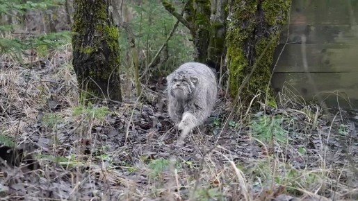 ����� ������ �� ����������� �������� ���� �������� ��������� � ����!