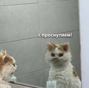 ������ ����, ������!. ����������� ����� ����� � ����� ����� ���������, ����� � ������� ���� � �������� ����� �� ����������� ������