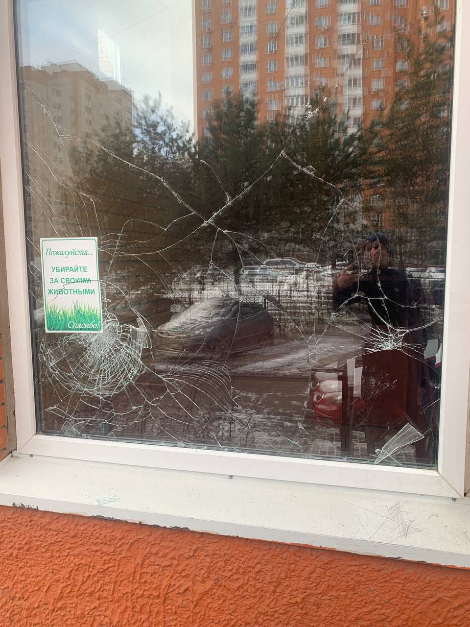 Настоящий анти-хэппи-энд этого года случился в Щербинке Настоящий анти-хэппи-энд этого года случился в Щербинке