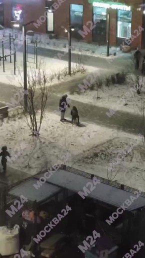 В ЖК «Ильинские луга» бойцовская собака сорвалась с поводка и загрызла другую собаку на прогулке