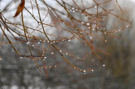 В ближайший час в Москве местами ожидается ледяной дождь